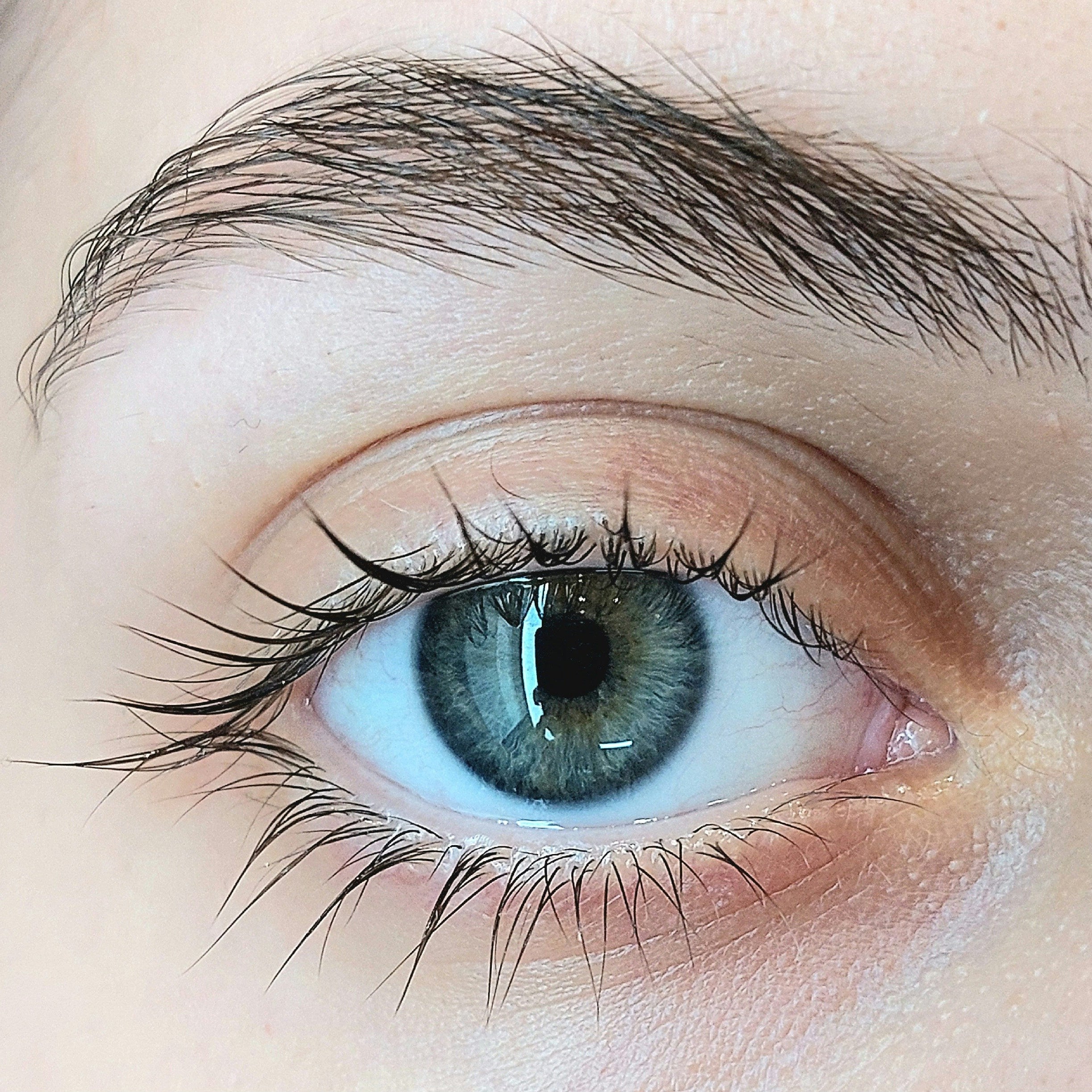 LASHSERUM - Serum Crece Pestañas